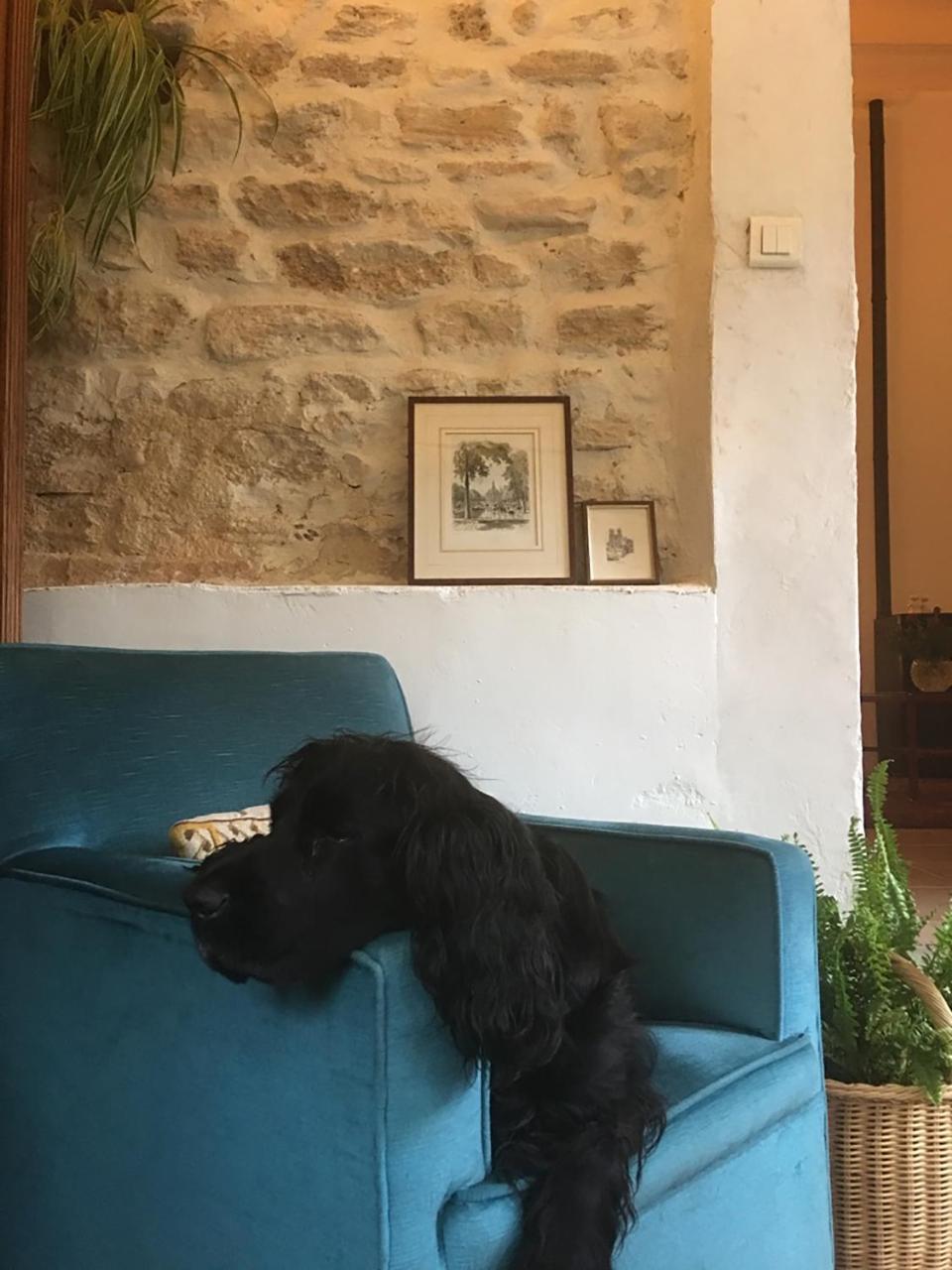 La Bergerie Pradel Le Beaucet